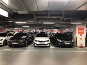 Parking particulier ferney voltaire